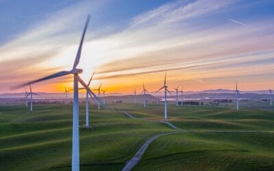 Renewables on the rise